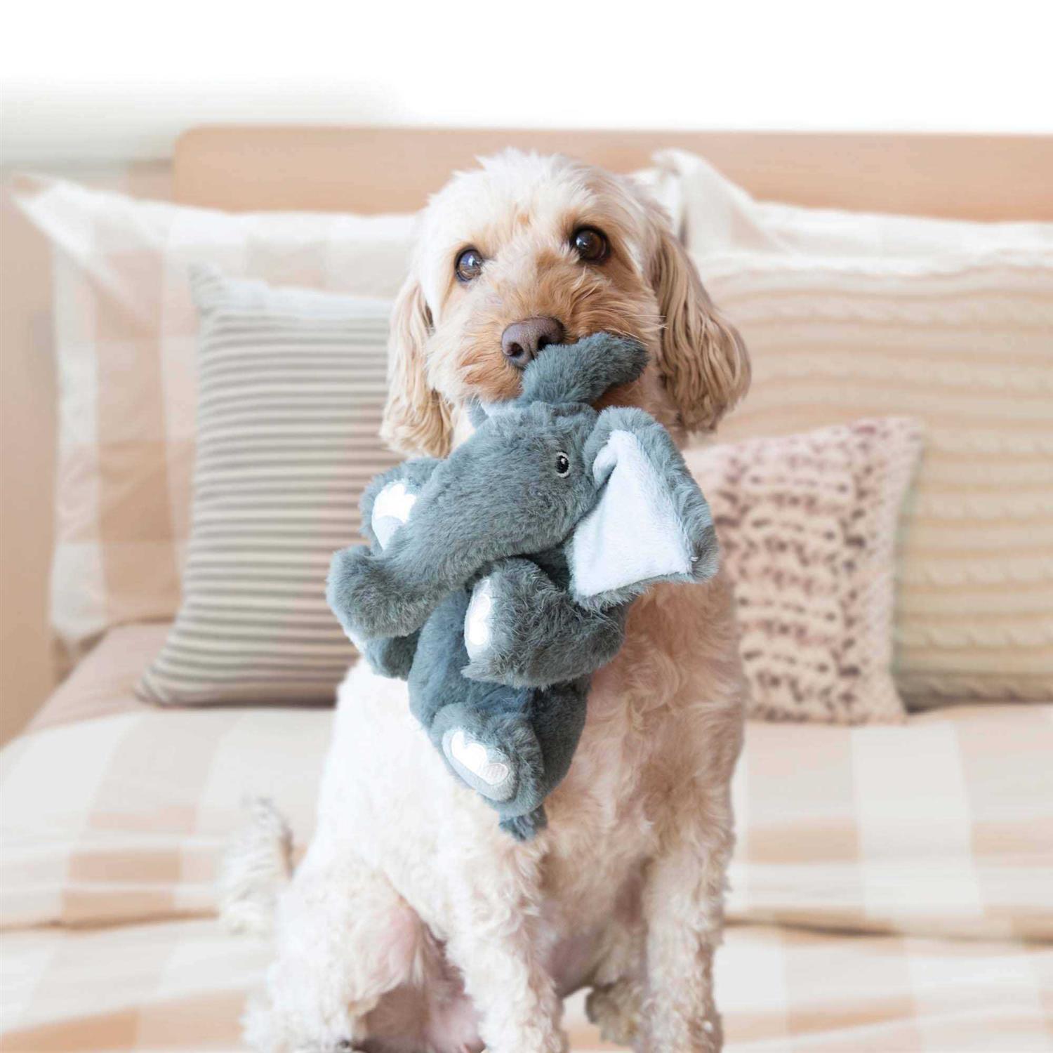 KONG Comfort Kiddos Bear Dog Toy - Pet Supplies online store