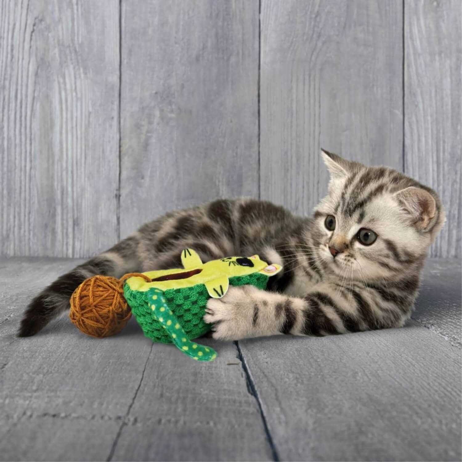 KONG Wrangler AvoCATo Cat Toy - Pet Supplies online store