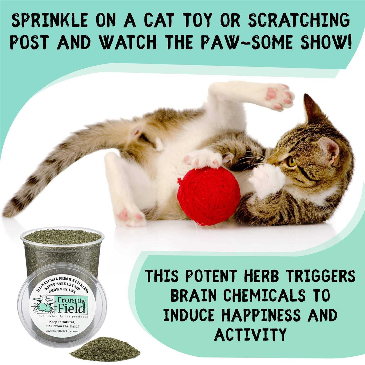 From The Field Stalkless Catnip - Pet Supplies online store