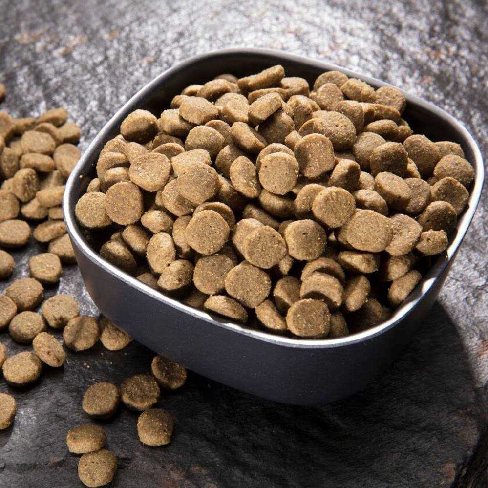 Crave Chicken Adult Protein Grain Free Dry Cat Food - Pet Supplies online store