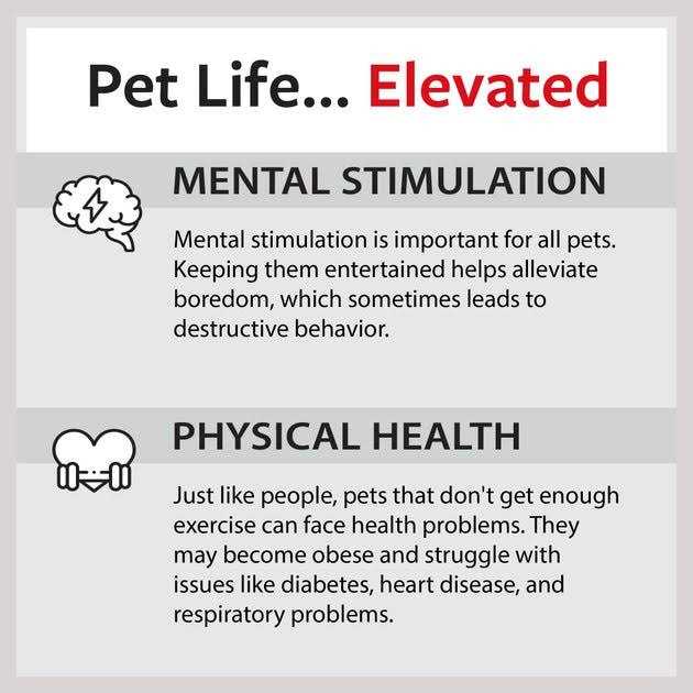 Caitec Cockatiel Ladder - Pet Supplies online store