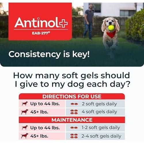 Antinol Plus, Mobility, Hip, and Joint Supplement for Dogs, Green-Lipped Mussels and Krill Oil - Pet Supplies online store