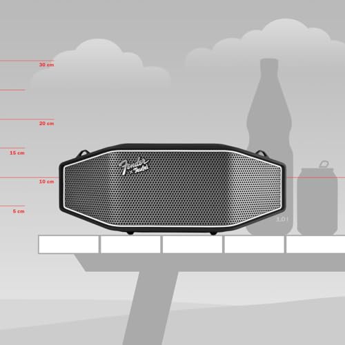 Fender x Teufel ROCKSTER CROSS Portable Wireless Bluetooth Speaker – Rugged, Waterproof, 16 Hours of Battery, Powerful Stereo Sound, Subwoofer, Built-in Power Bank, Fender Guitar Strap (Black & Steel)