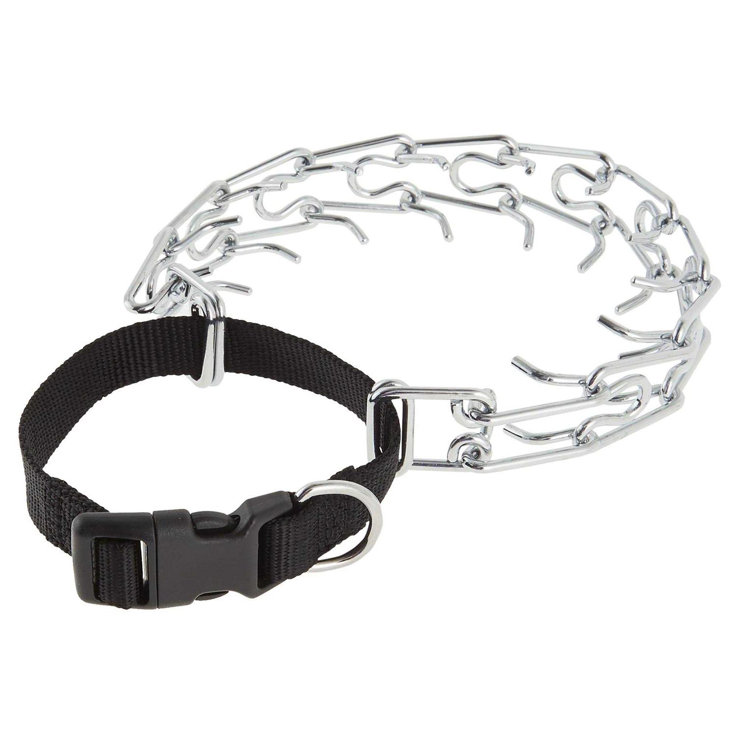 Top Paw Buckle Prong Training Dog Collar - Pet Supplies online store