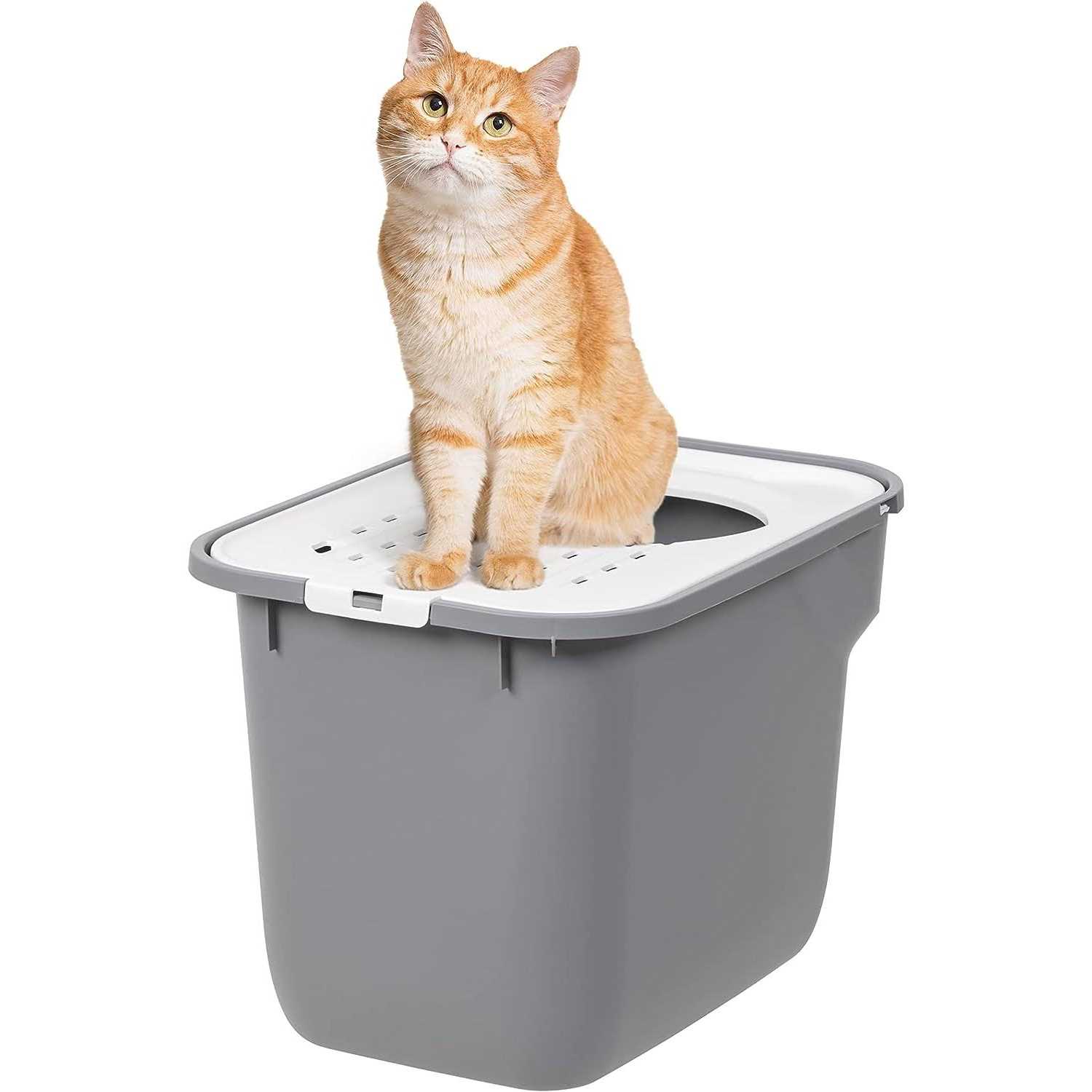 IRIS USA Top Entry Cat Litter Box - Pet Supplies online store