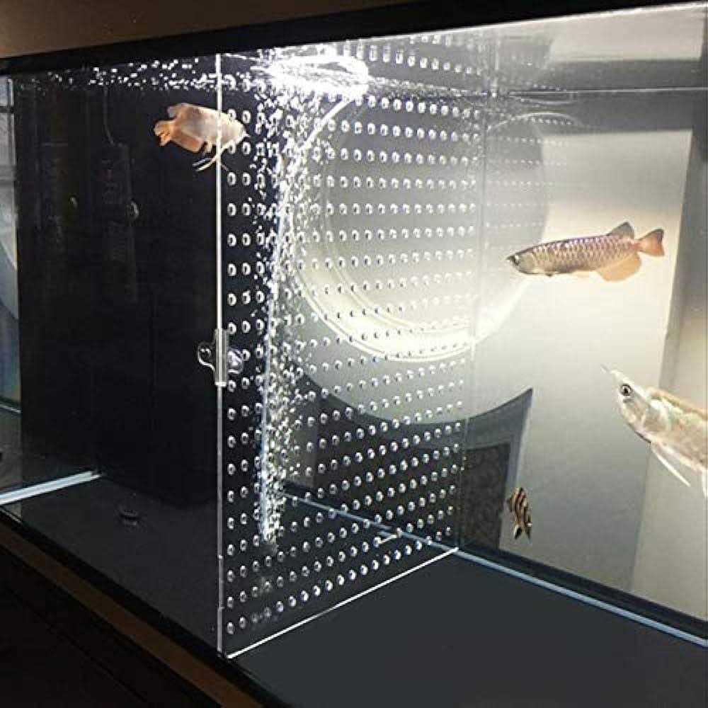 Tank Acrylic Divider Isolation Board with Suction Cups - Pet Supplies online store