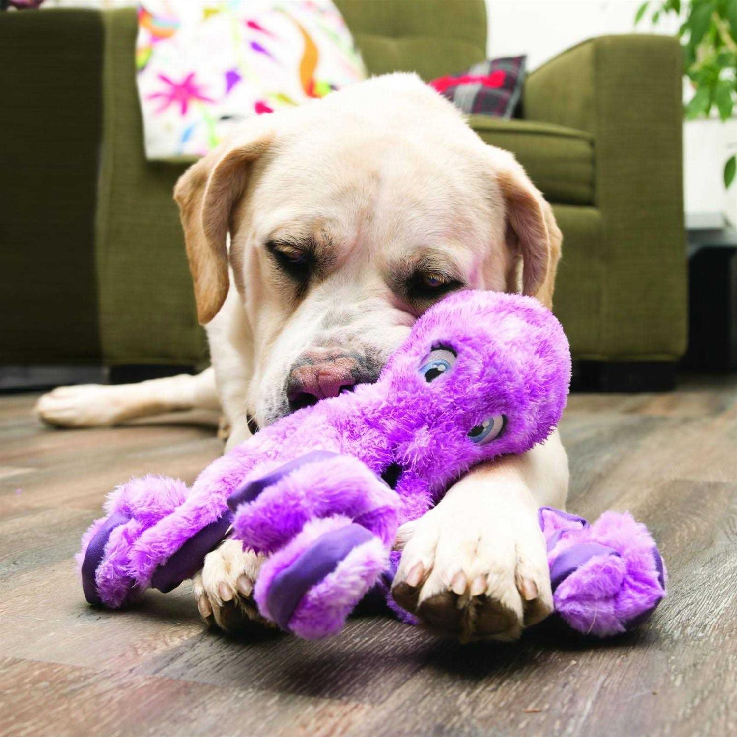 Kong SoftSeas Octopus Dog Toy - Pet Supplies online store