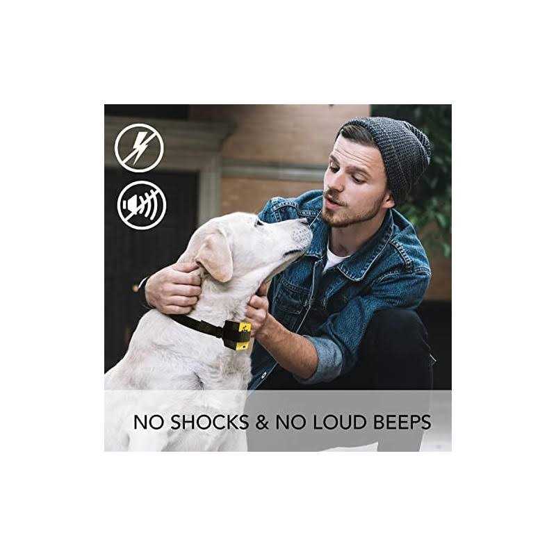 Downtown Pet Supply Citronella Bark Collar - Pet Supplies online store