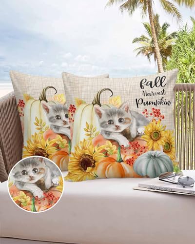 Outdoor Pillow Covers Waterproof, Fall Pumpkin Throw Pillowcase Decorative Cover, Farmhouse Harvest Sunflower Cat Wooden Garden Cushion Case Set of 2 for Sofa, Couch, Tent, Patio, 16