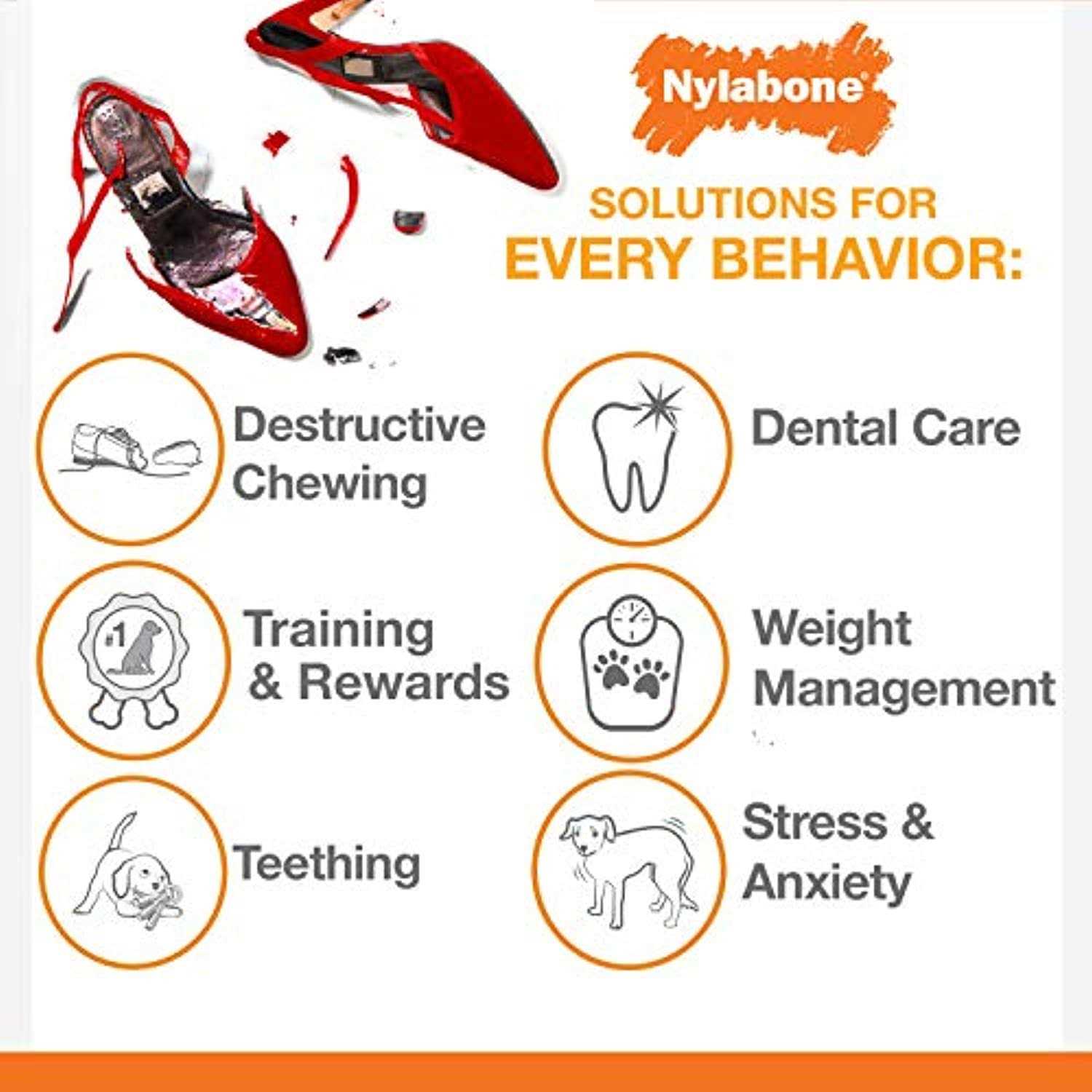 Nylabone Small Dog Value Pack - Pet Supplies online store