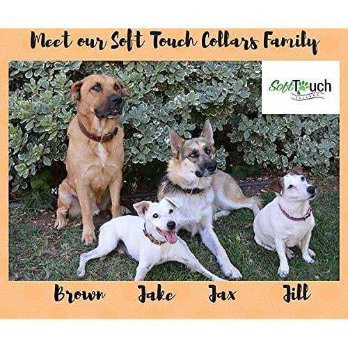 Soft Touch Collars Leather Dog Collar Padded - Pet Supplies online store