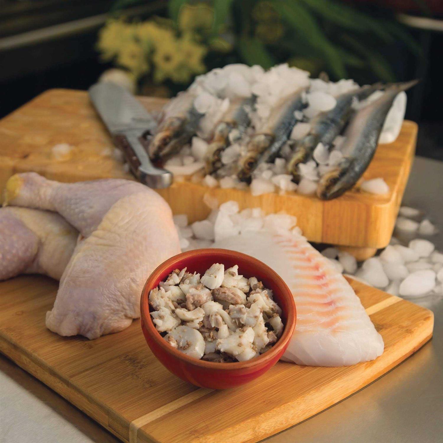 JustFoodForDogs Daily Diets Fish & Chicken Frozen Cat Food - Pet Supplies online store