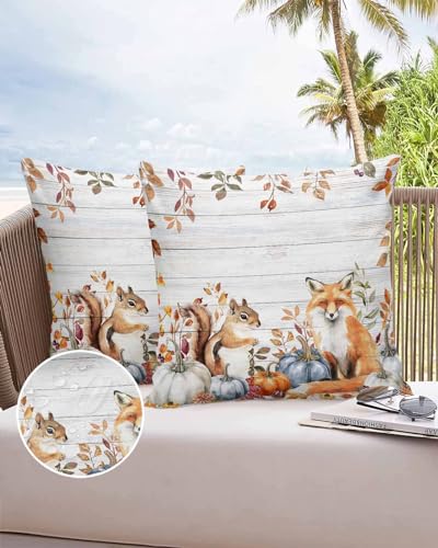 Outdoor Pillow Covers Waterproof, Fall Fox Squirrel Throw Pillowcase Decorative Cover, Autumn Pumpkin Leaves Wooden Garden Cushion Case Set of 2 for Sofa, Couch, Tent, Patio, 16