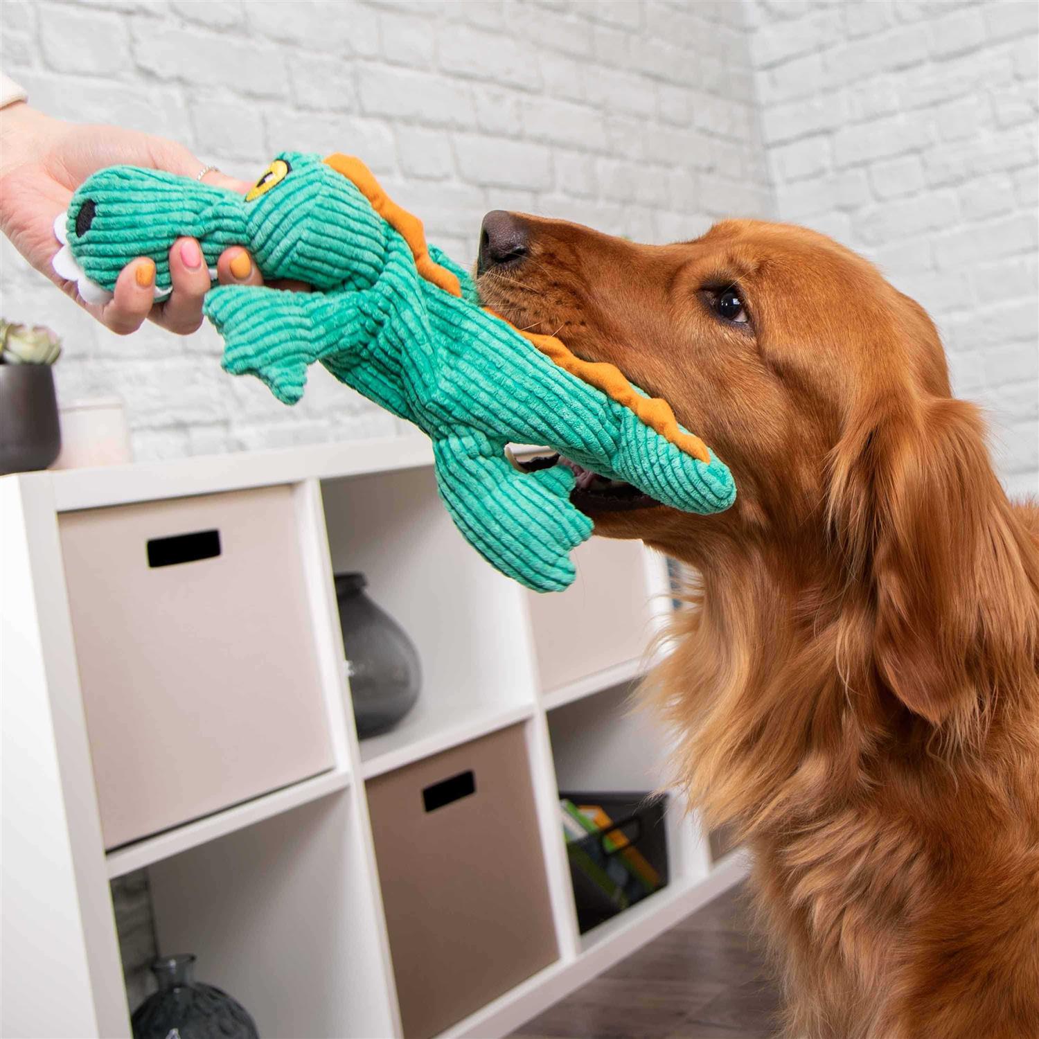 TrustyPup Plush Gator Dog Toy - Pet Supplies online store