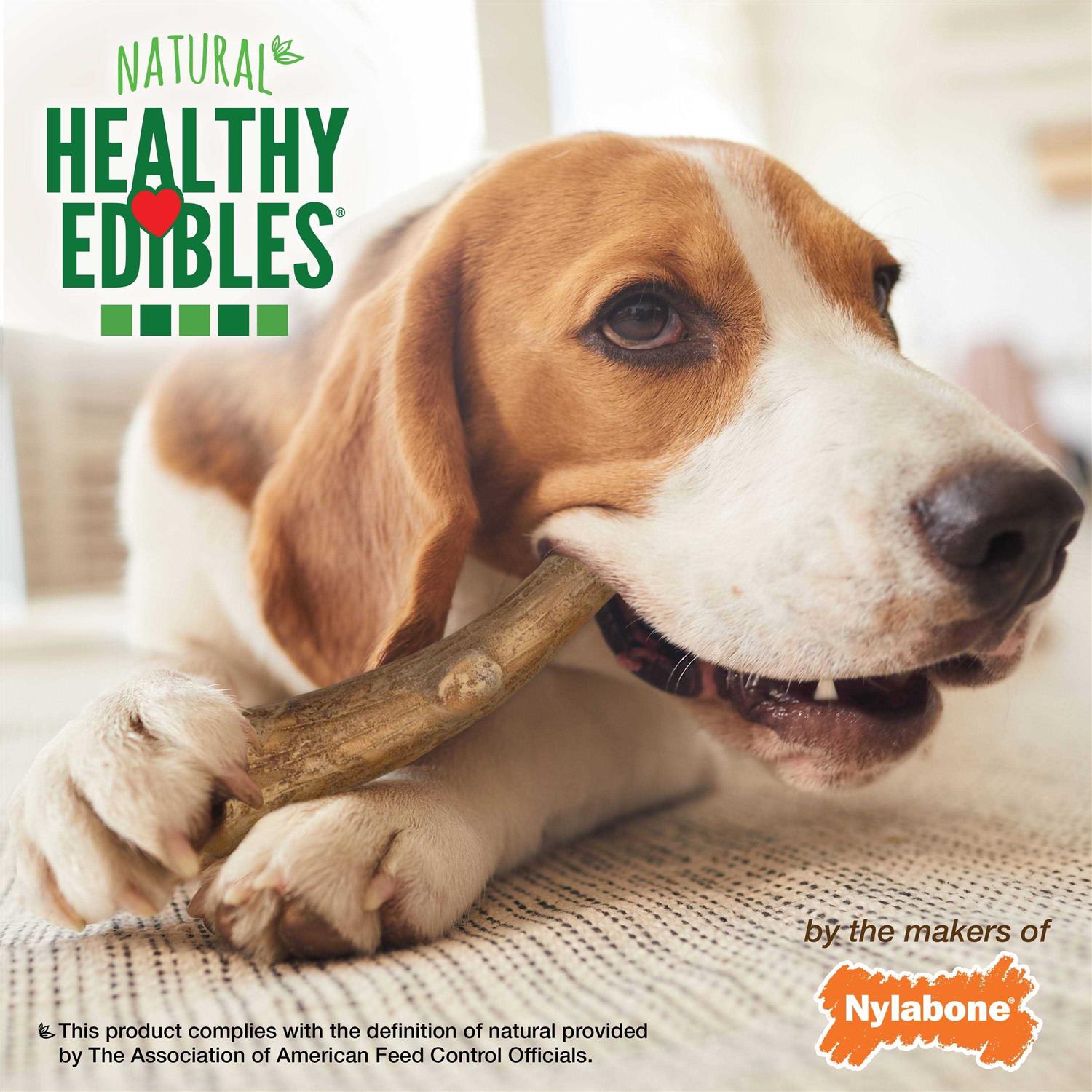 Nylabone Healthy Edibles Wild Antler Natural Long Lasting Venison Dog Chew Treats - Pet Supplies online store