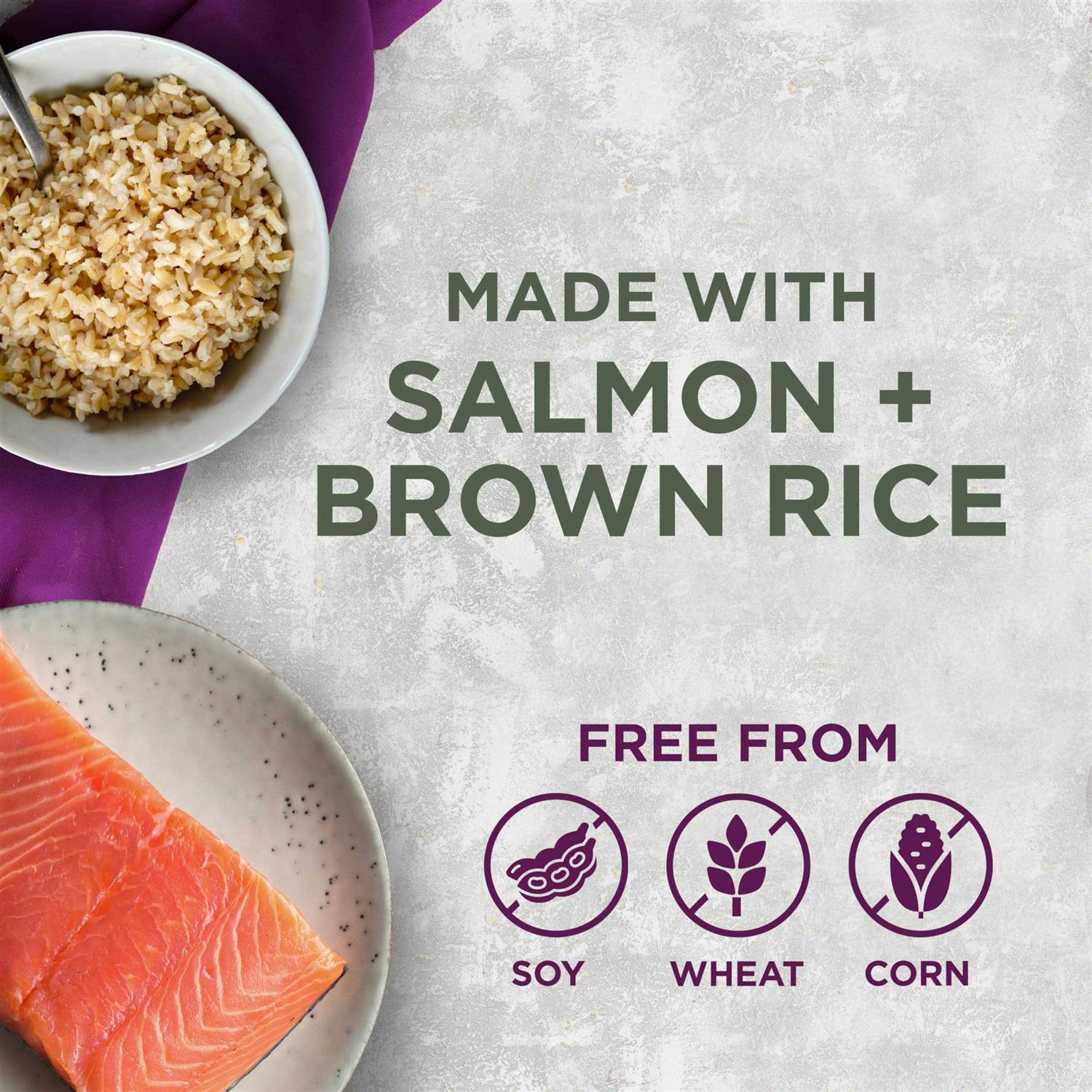 Blackwood Pet Food All Life Stages Special Diet - Pet Supplies online store