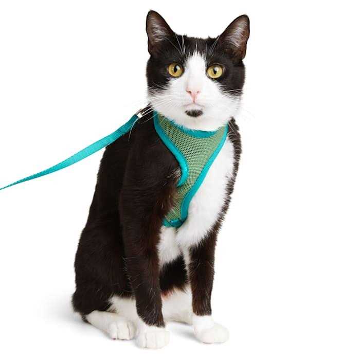 YOULY Basic Green Cat Harness - Pet Supplies online store