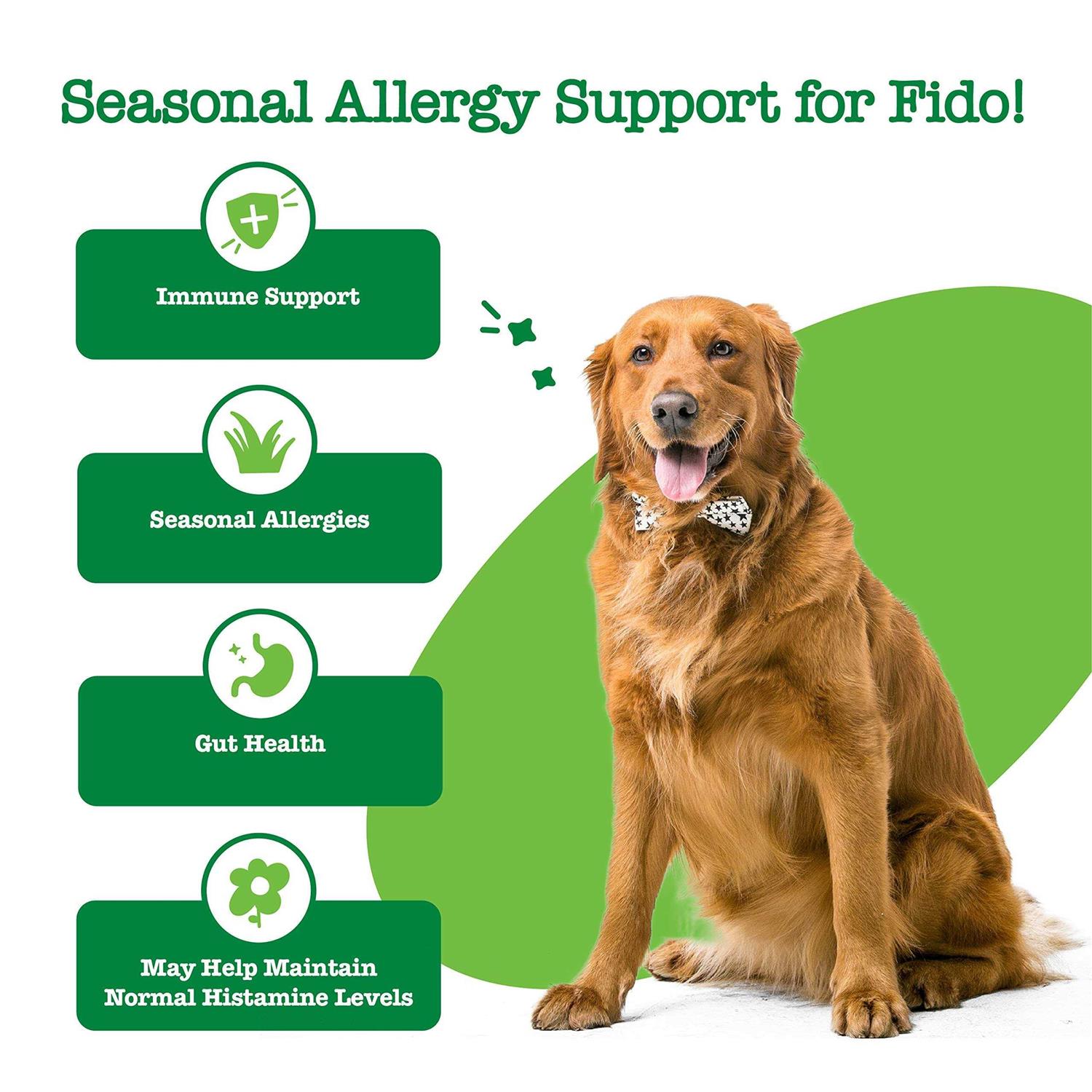 Zesty Paws Hemp Cheese Elements Allergy & Immune Bites for Dogs - Pet Supplies online store