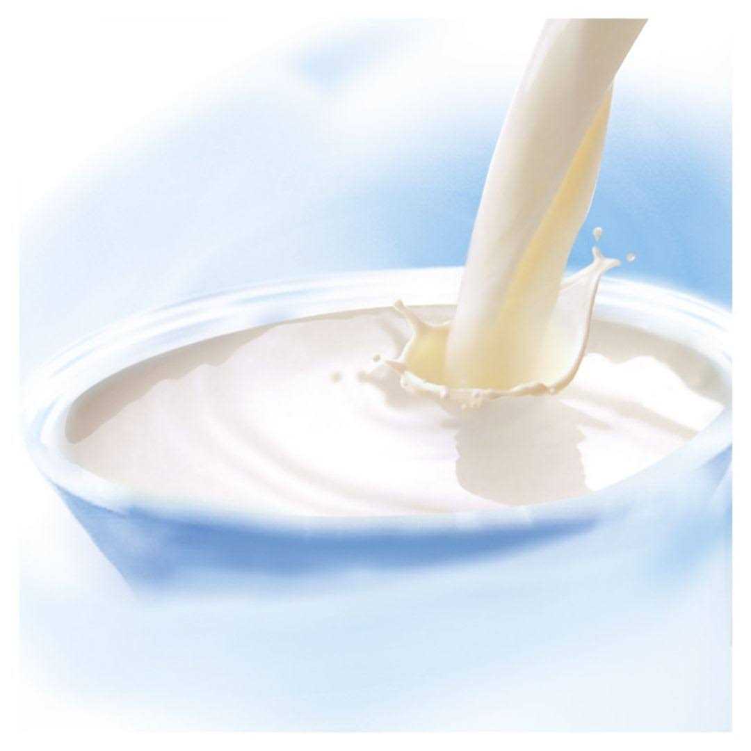 Whiskas Cat Milk - Pet Supplies online store