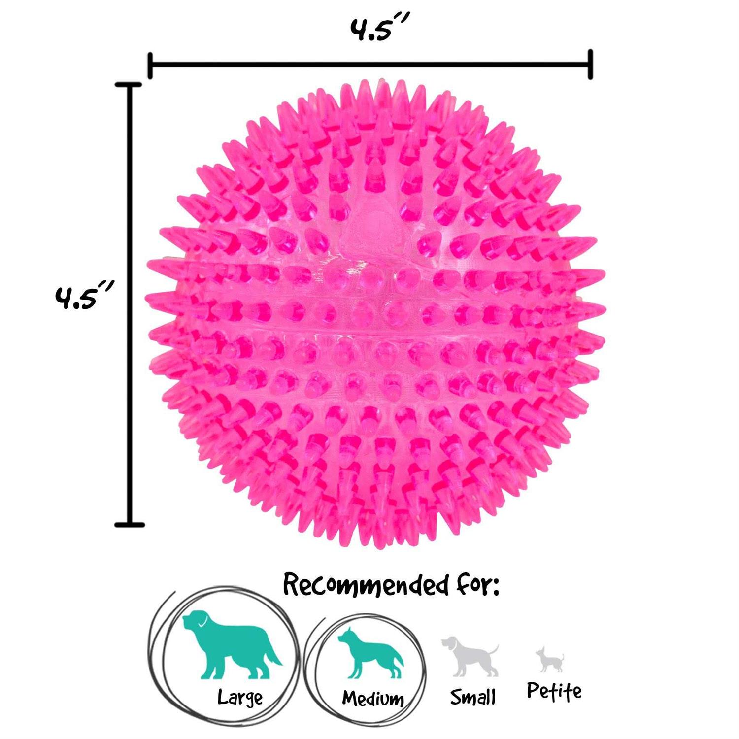 Gnawsome Squeaker Ball Dog Toy - Pet Supplies online store
