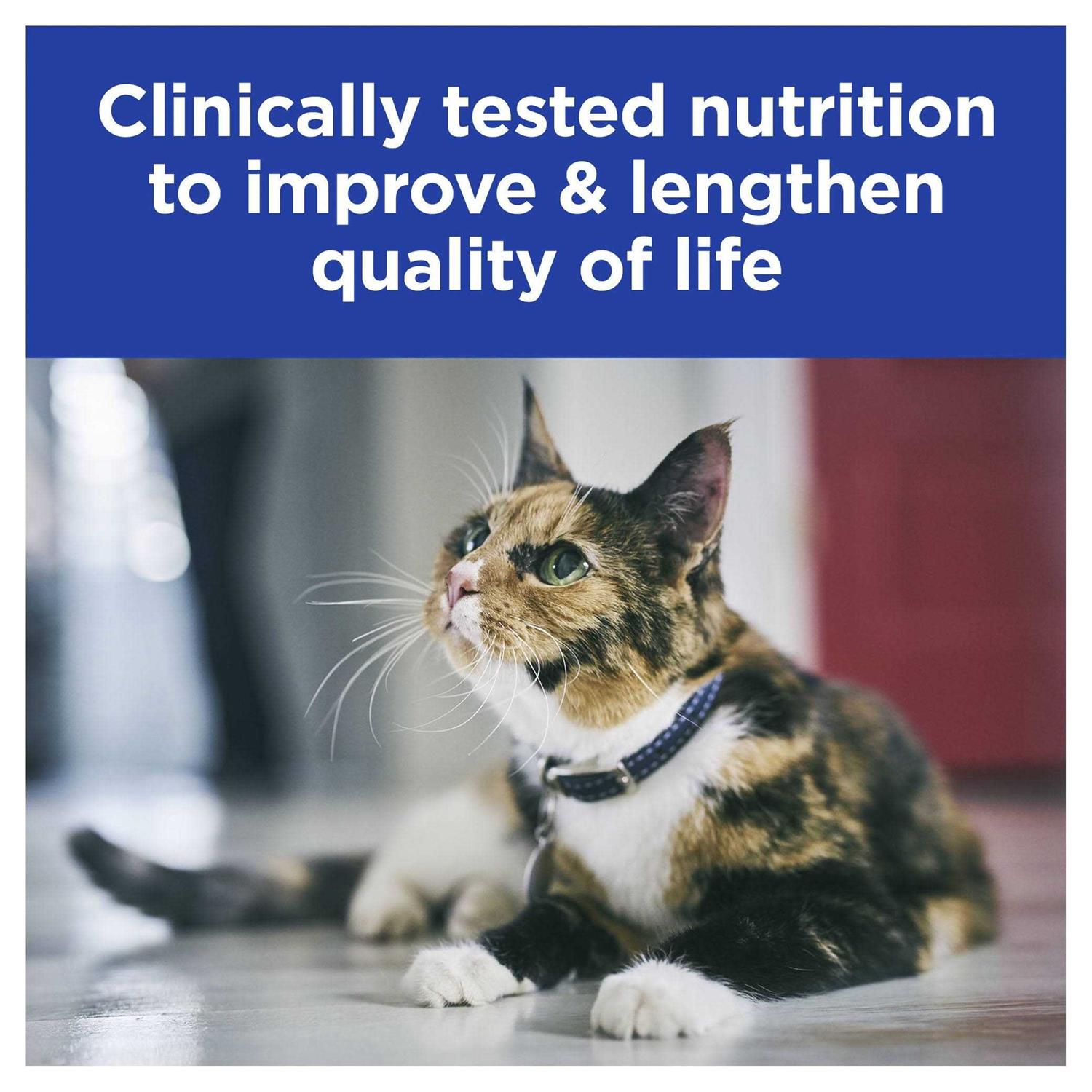 Prescription Diet k/d Kidney Care Cat Canned Food - Pet Supplies online store