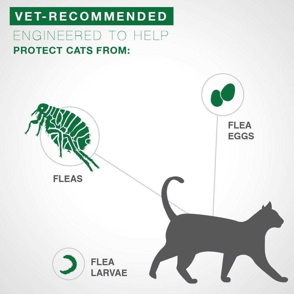 Advantage II Flea Treatment Cats - Pet Supplies online store