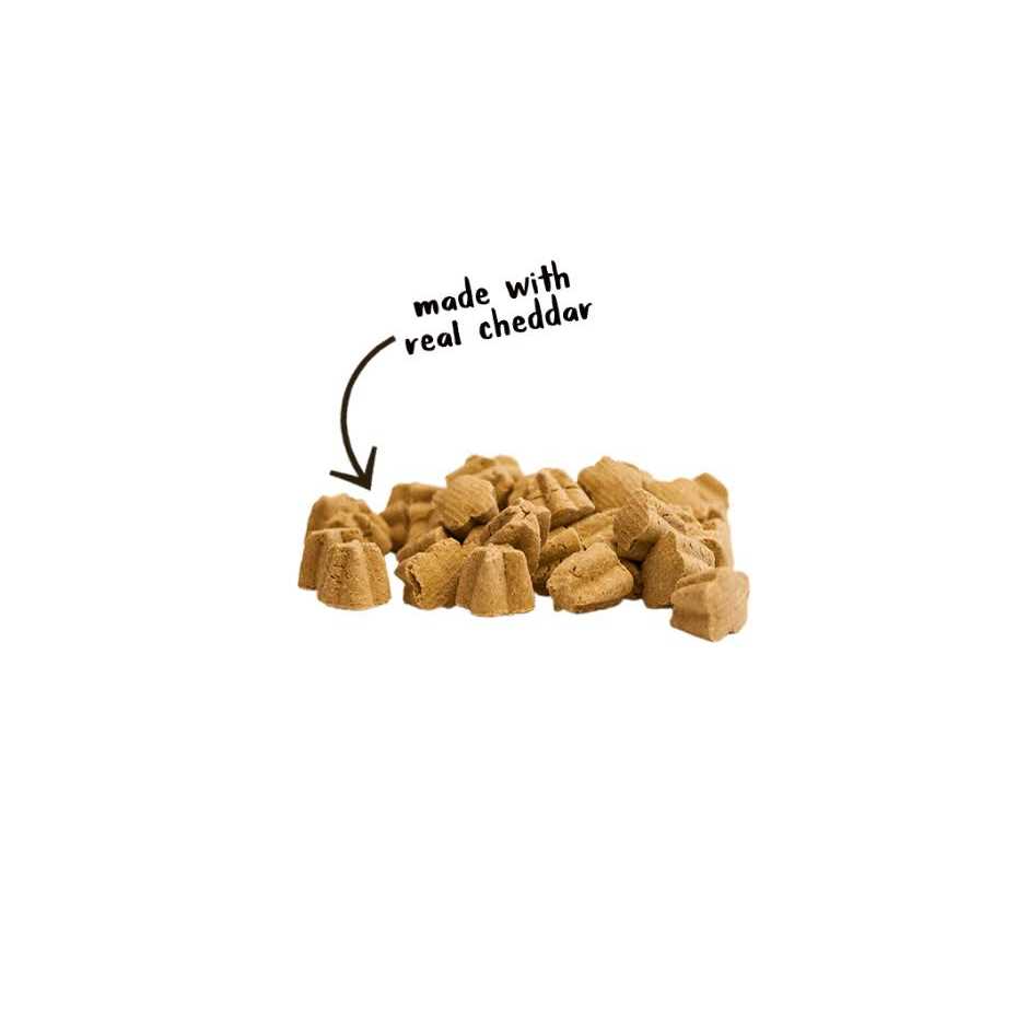 Cloud Star Crunchy Tricky Trainers Dog Treats - Pet Supplies online store