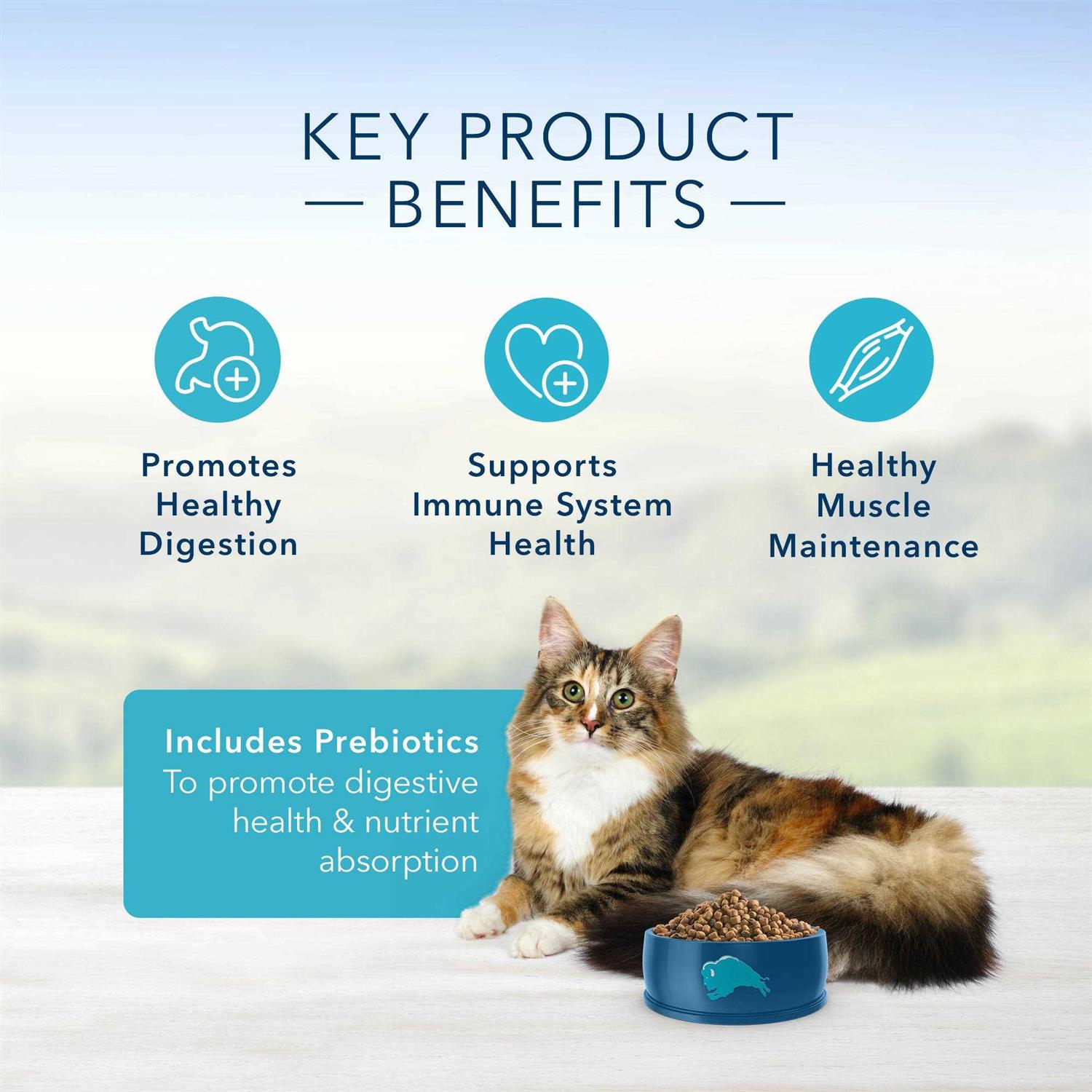 Blue Sensitive Stomach Adult Cat Dry Food - Pet Supplies online store