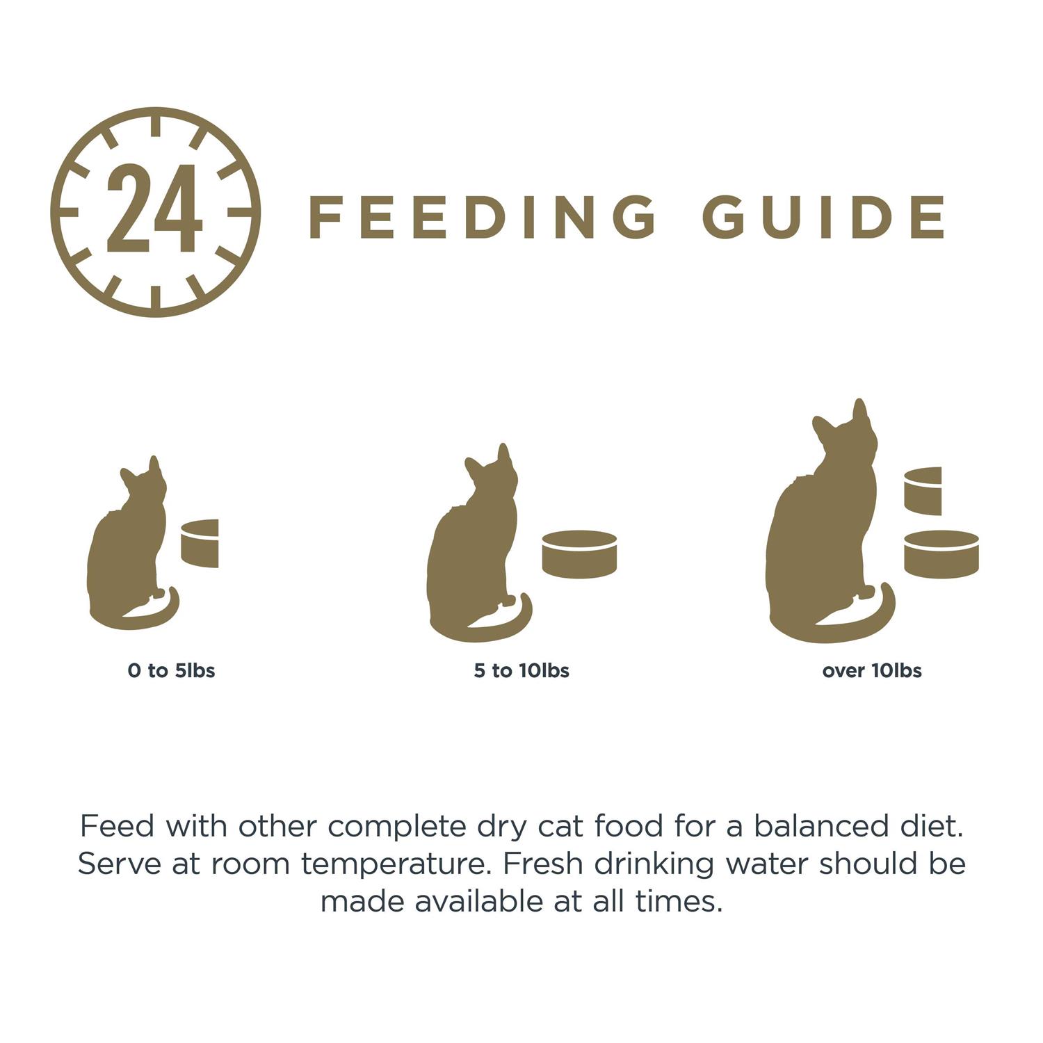 Reveal in Gravy Tuna Fillet Grain Free Cat Food - Pet Supplies online store