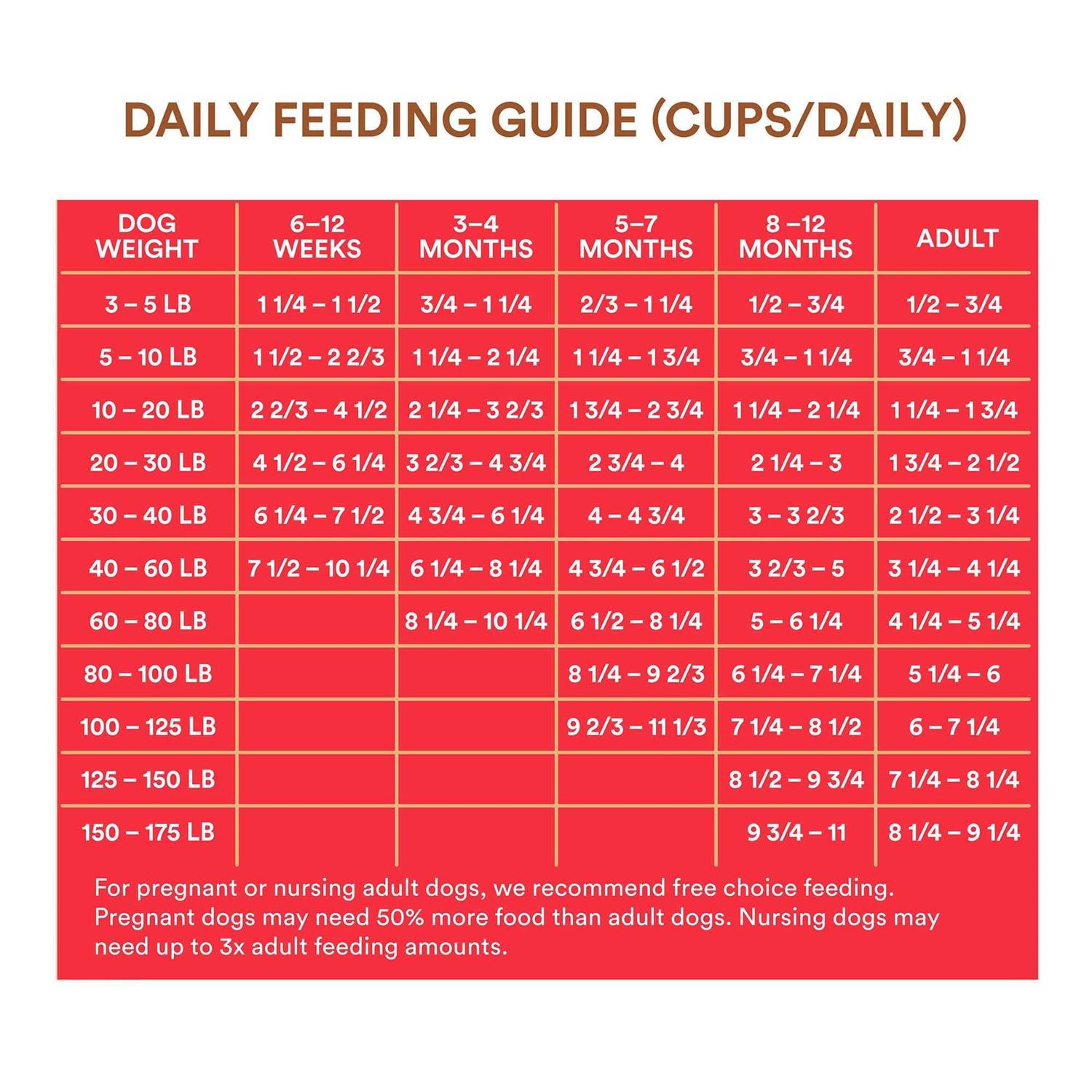 WholeHearted All Life Stages Beef and Brown Rice Recipe Dry Dog Food - Pet Supplies online store