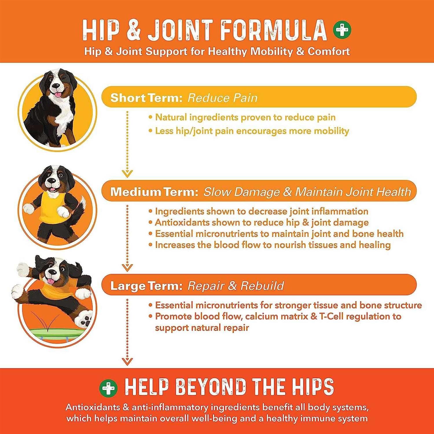 Bernie's Healthy Hips Daily Dog Hip and Joint Supplement - Pet Supplies online store