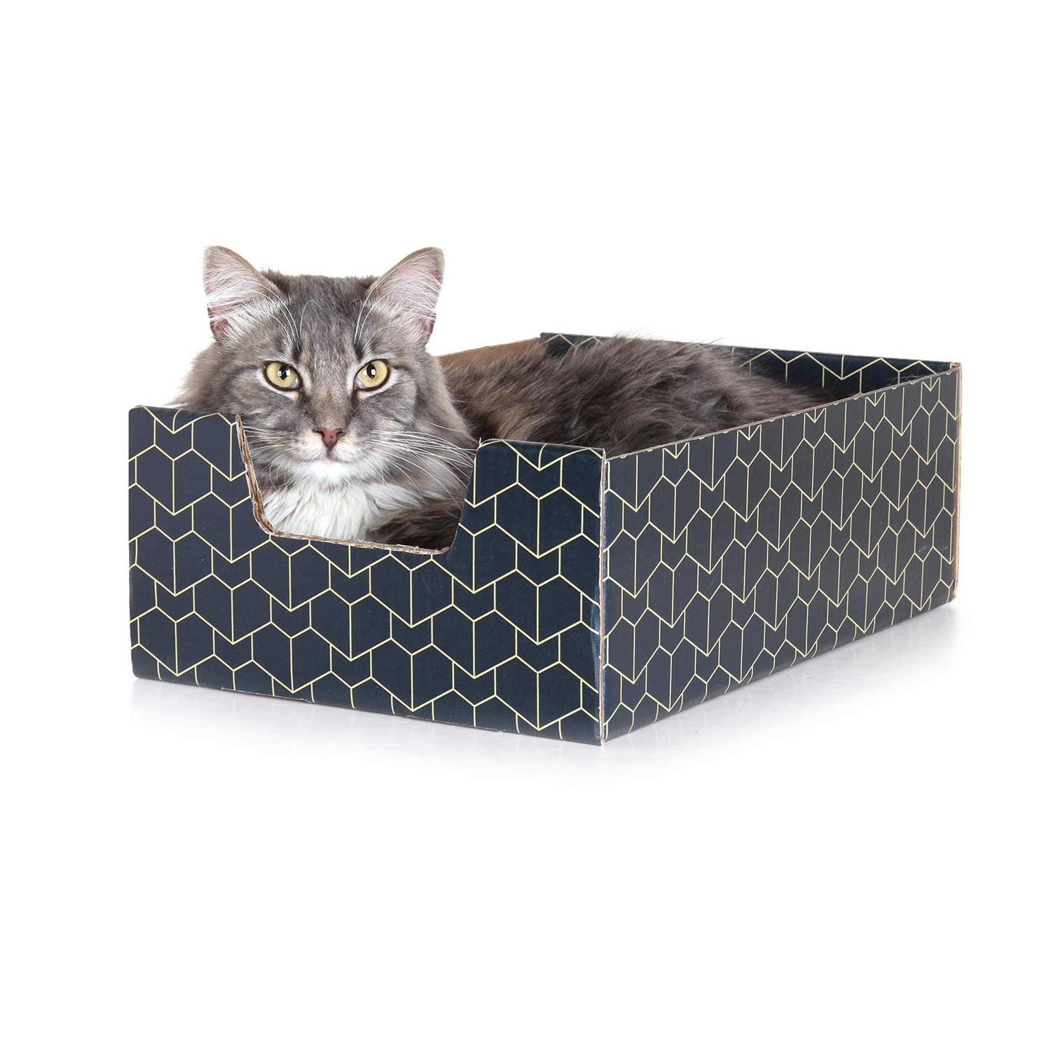 Purrfect Cat Box , Blue - Pet Supplies online store