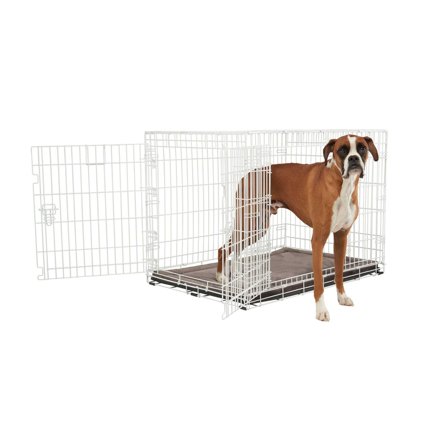 EveryYay White 2-Door Dog Crate H - Pet Supplies online store