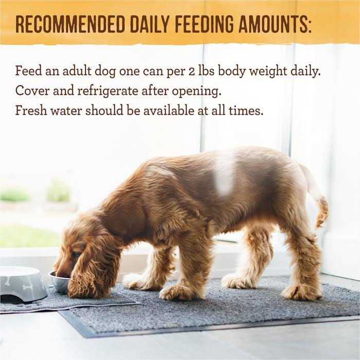 Merrick Pet Care Grain Free Dinner Lil' Plates Petite Pates Adult Wet Dog Food - Pet Supplies online store