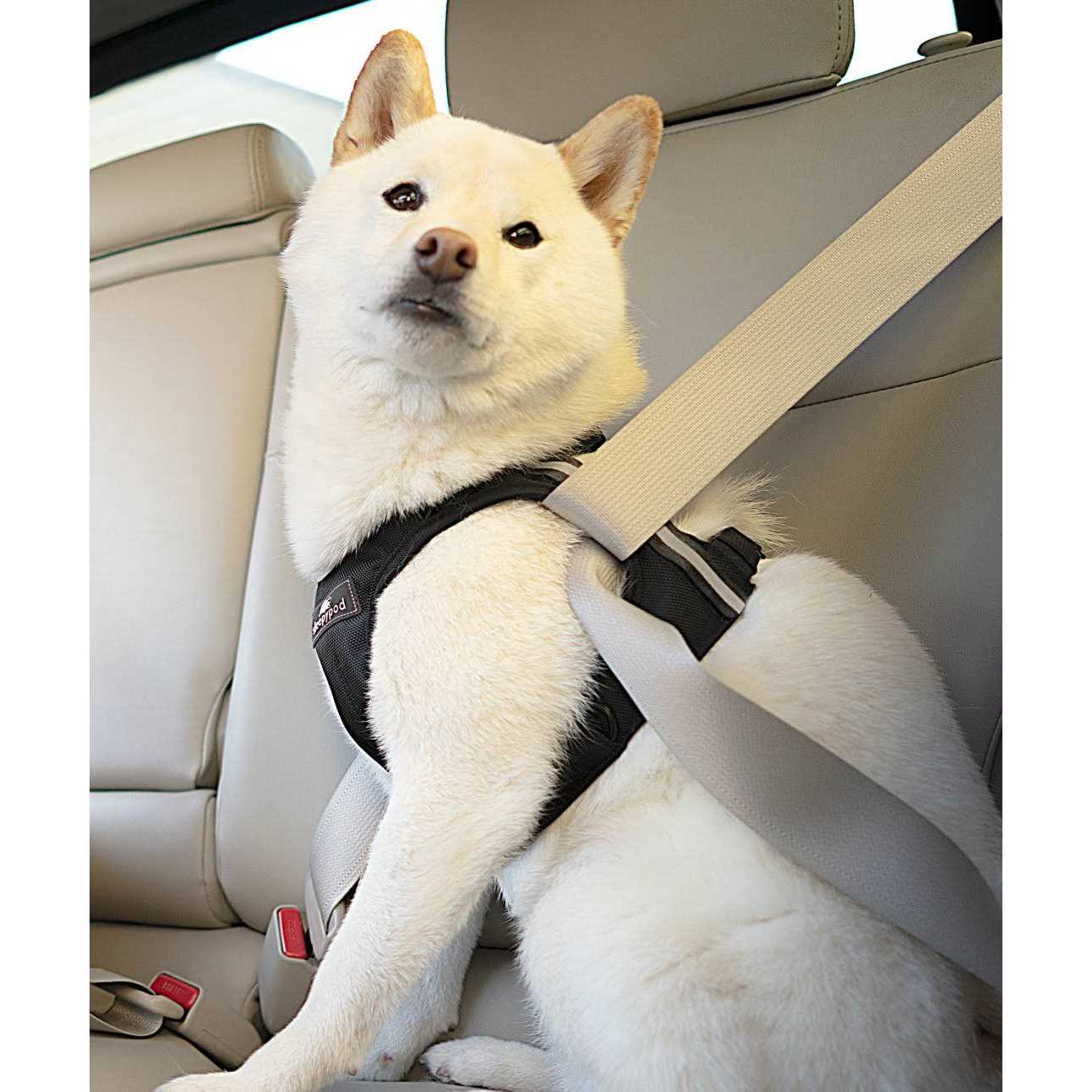 Sleepypod Clickit Terrain Safety - Pet Supplies online store