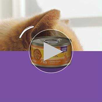 Wellness Chicken & Turkey Pate Complete Health Favorites Variety Pack - Pet Supplies online store