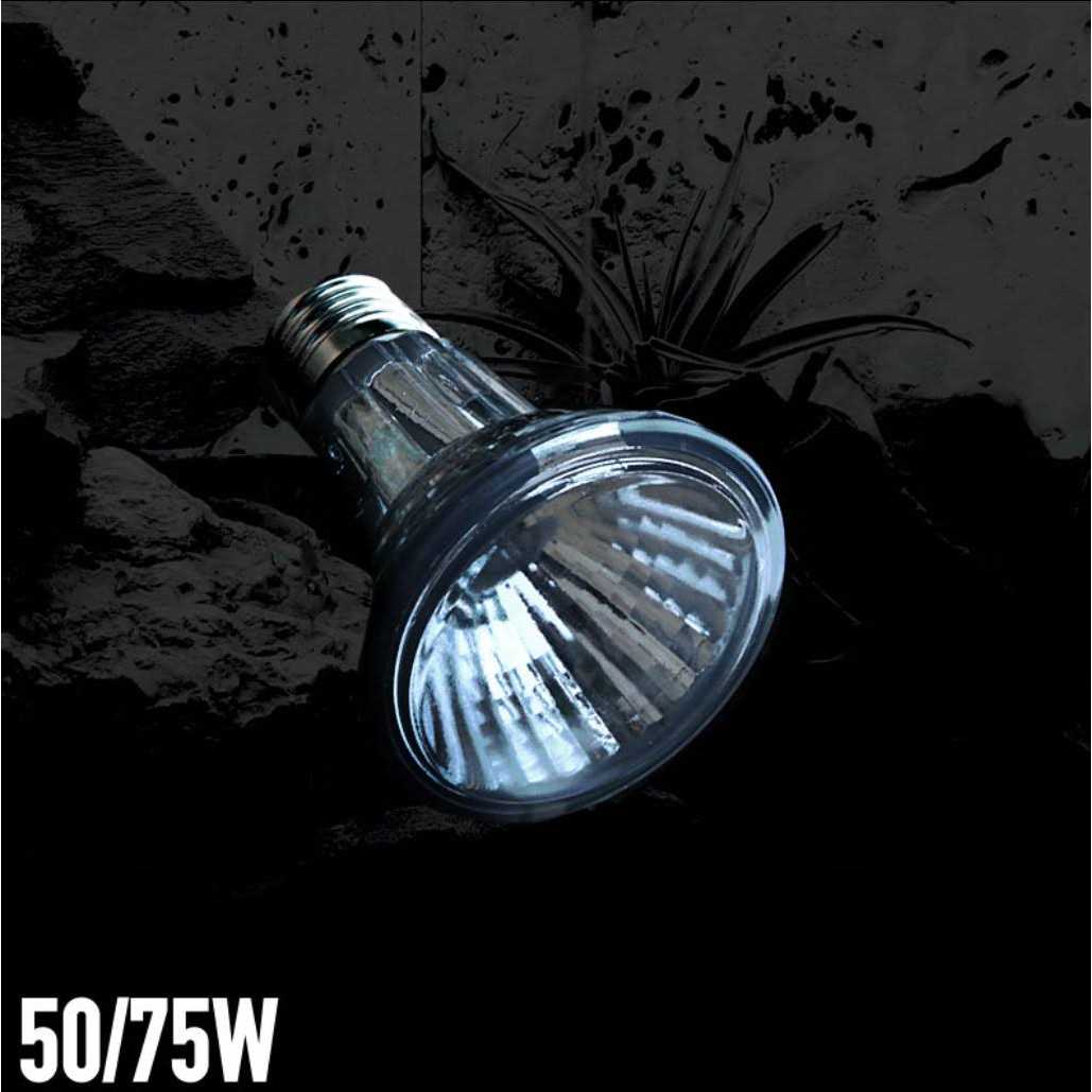 Arcadia Halogen Heat Lamp - Pet Supplies online store