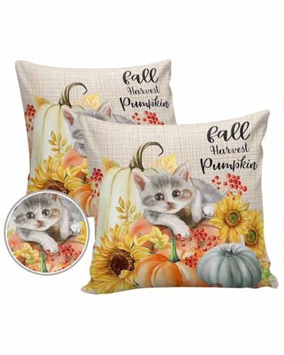 Outdoor Pillow Covers Waterproof, Fall Pumpkin Throw Pillowcase Decorative Cover, Farmhouse Harvest Sunflower Cat Wooden Garden Cushion Case Set of 2 for Sofa, Couch, Tent, Patio, 16