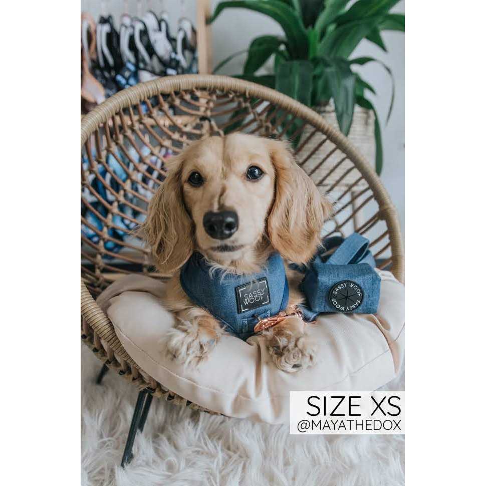 Adjustable Harness Sassy Woof - Pet Supplies online store