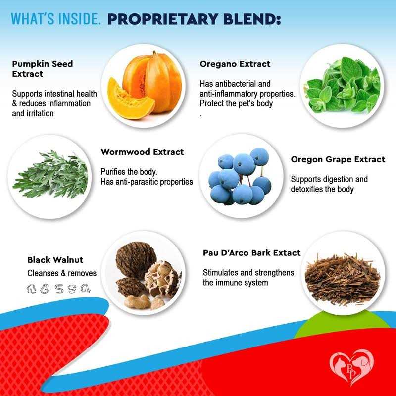 Beloved Pets Cats & Dogs Liquid Herbal Medicine & Natural Broad Spectrum Treatment for Tapeworm, Whipworm, Roundworm, and Hookworm - Pet Supplies online store