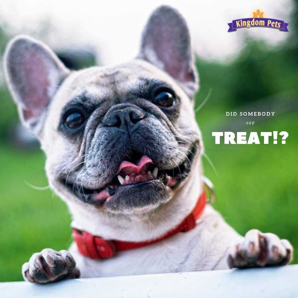 Kingdom Pets Duck & Sweet Potato Jerky Twists - Pet Supplies online store