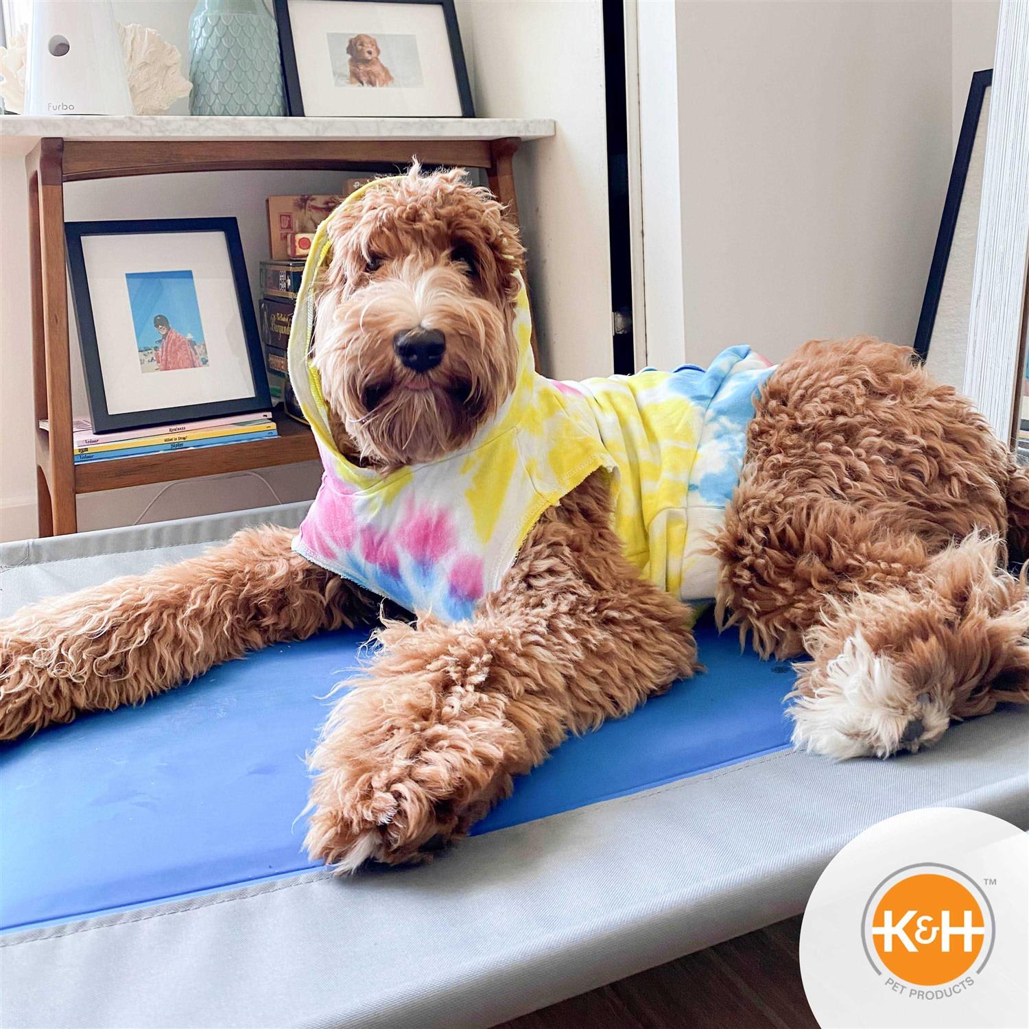 K H Pet Products Coolin' Pet Cot - Pet Supplies online store