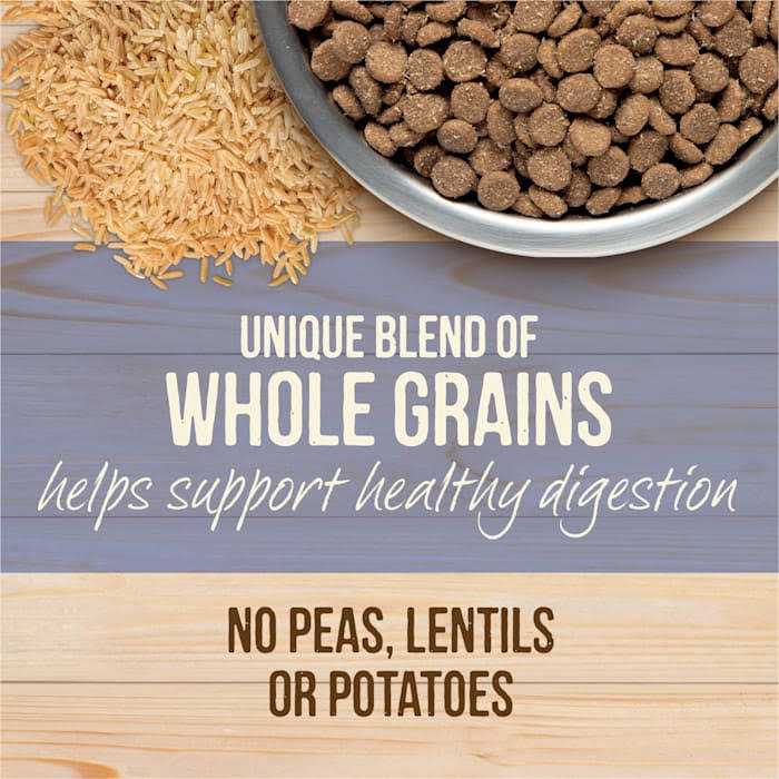 Merrick Healthy Grains Freeze Dried Raw Coated Kibble Dry Dog Food Puppy Recipe - Pet Supplies online store