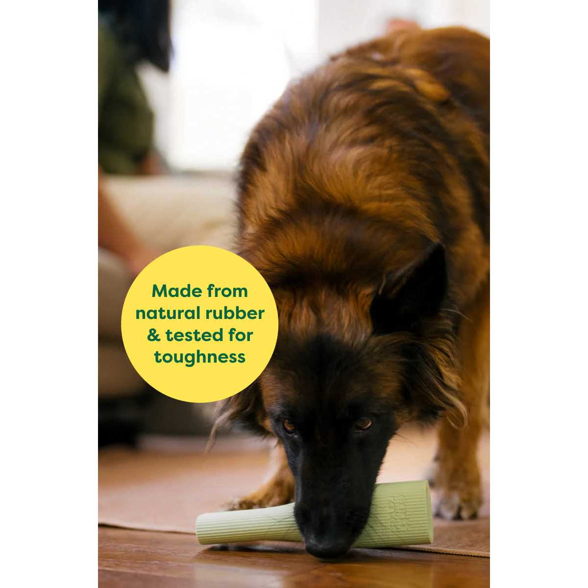 Earth Rated Rubber Chew Dog Toy - Pet Supplies online store