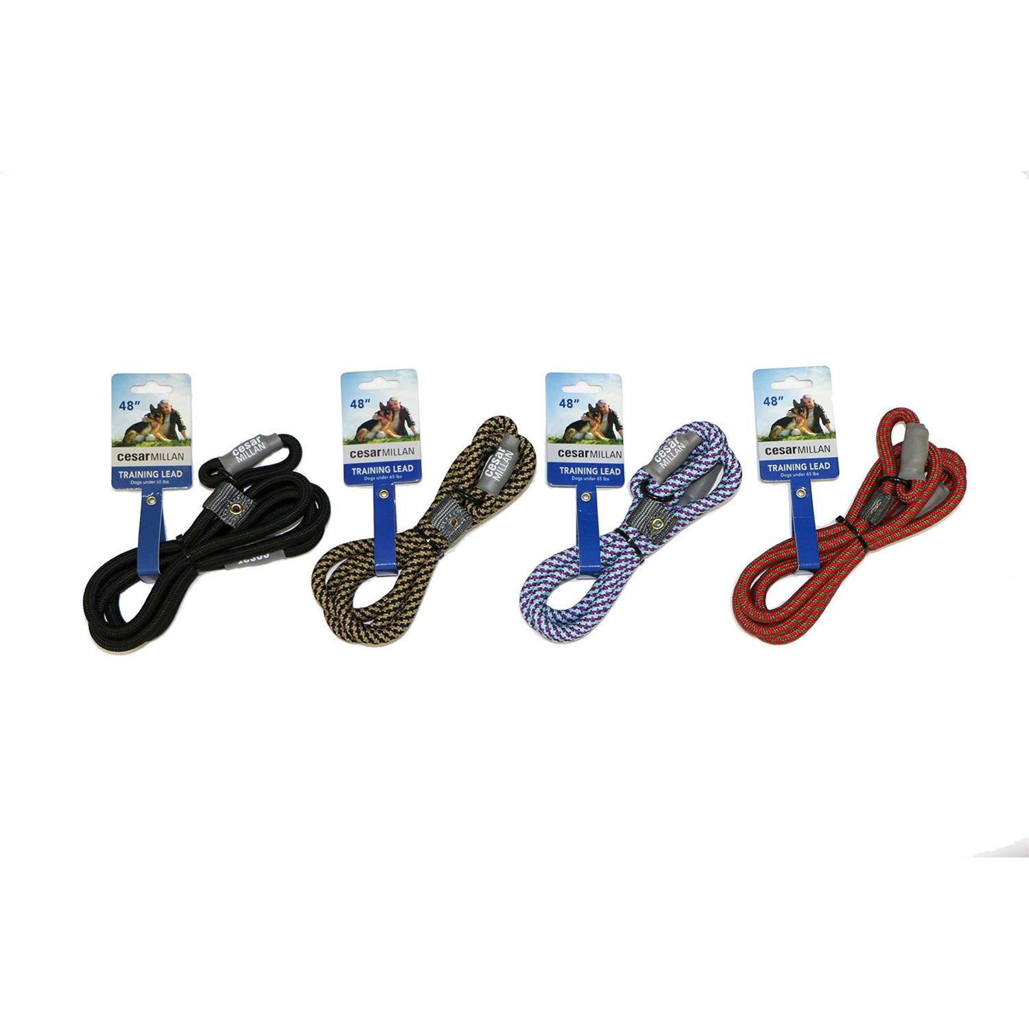 Cesar Millan Slip Lead Leash 2-in-1 Slip Collar Dog Training Lead & Collar - Pet Supplies online store