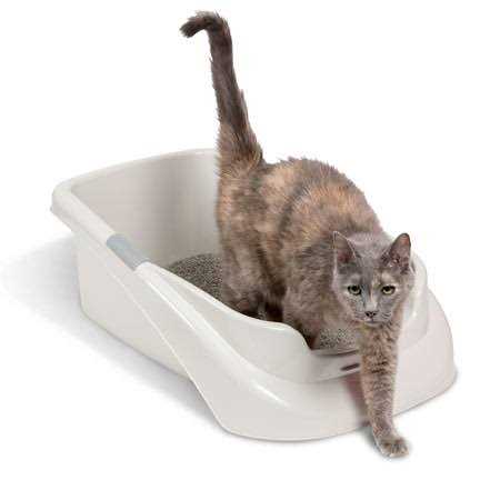 Lucky Champ Litter Pan - Pet Supplies online store