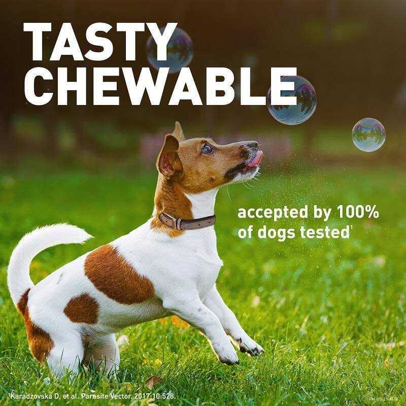 Credelio Chewable Tablet for Dogs - Pet Supplies online store