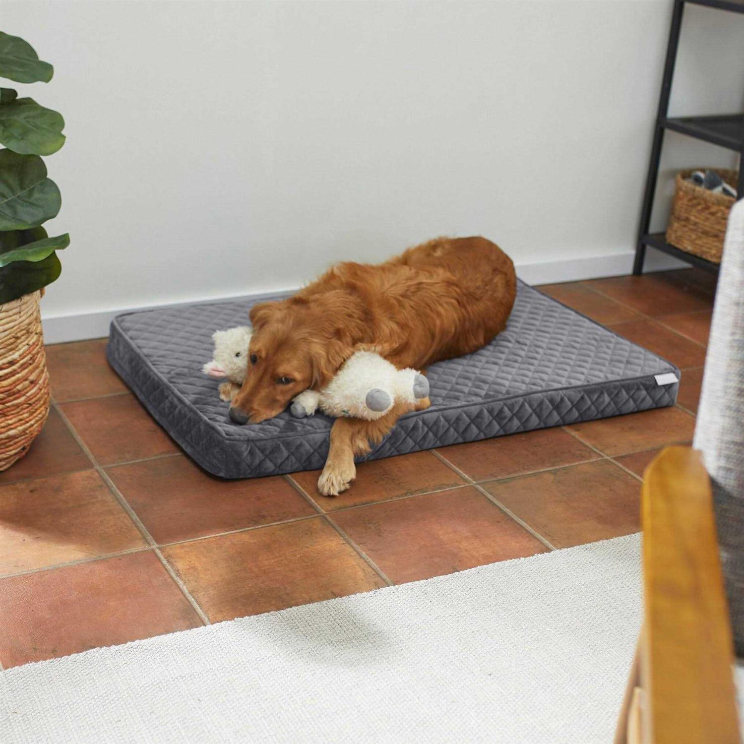 Frisco Quilted Orthopedic Pillow Cat Dog Bed w/Removable COVER - Pet Supplies online store