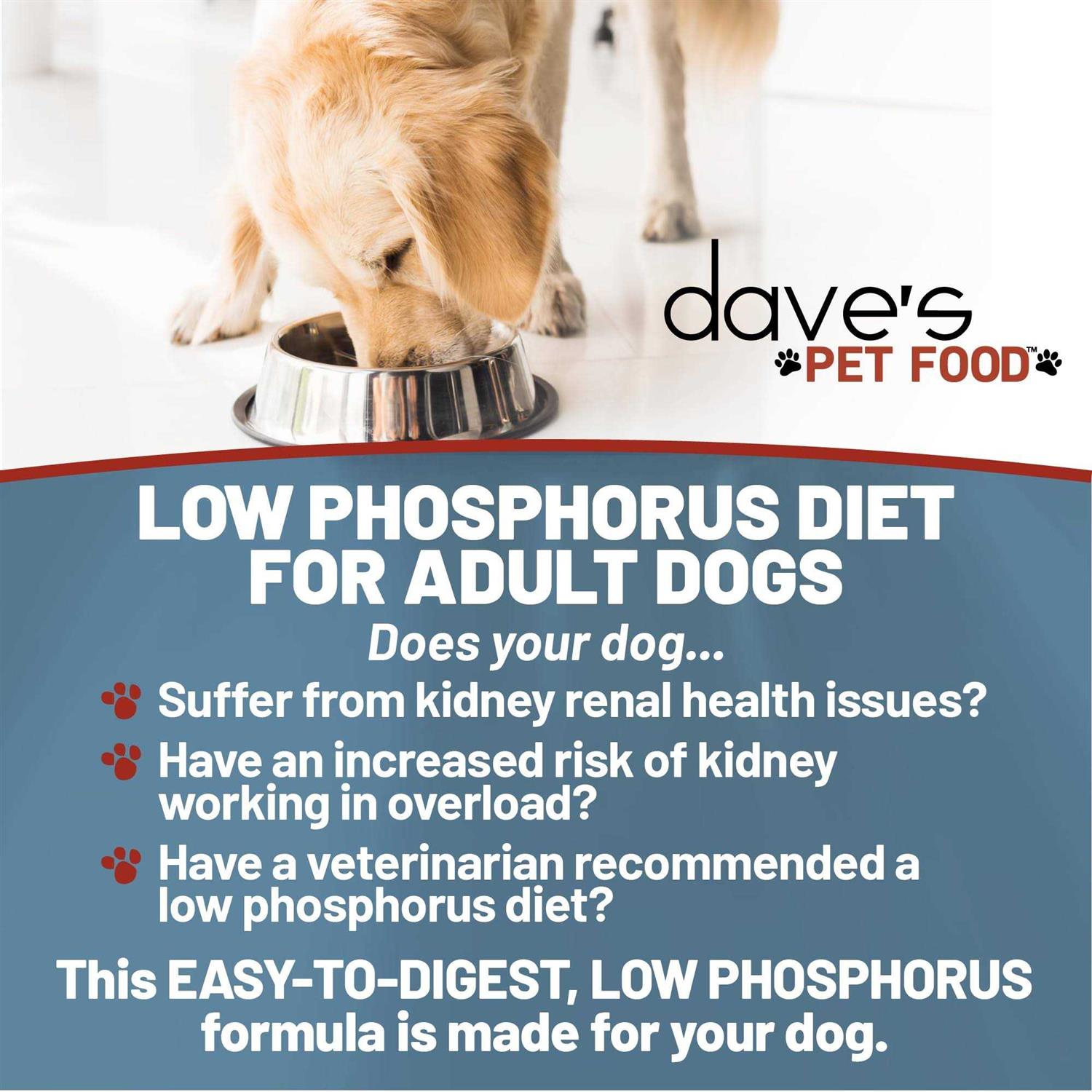 Dave's Pet Food Kidney Support with Renal Support Chicken Formula Crumble Non-Prescription Low Phosphorus Restricted Diet Dog Food - Pet Supplies online store