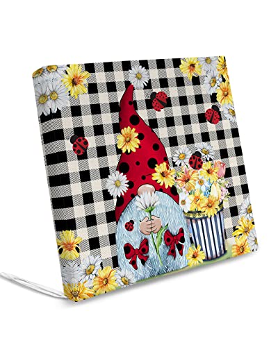 2 Pack Chair Cushion Cover Removable, Ladybug Gnomes Waterproof Seat Cushion Slipcovers, Summer Farmhouse Daisy Black Plaid Outdoor Chair Sofa Cushion Furniture Protector 20